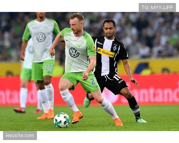 VAR决策回顾:波鸿对阵沃尔夫斯堡比赛中被取消的进球引热议